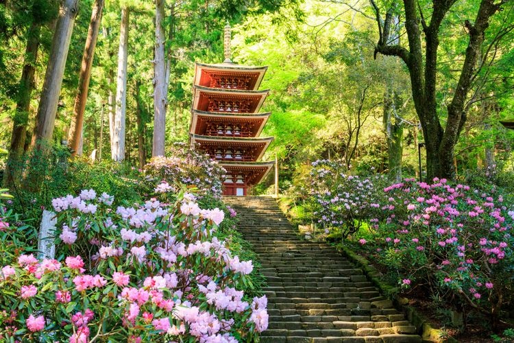 室生寺 4
