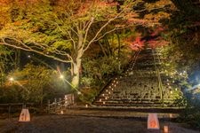 Tourist destination images of Muroji Temple(4)