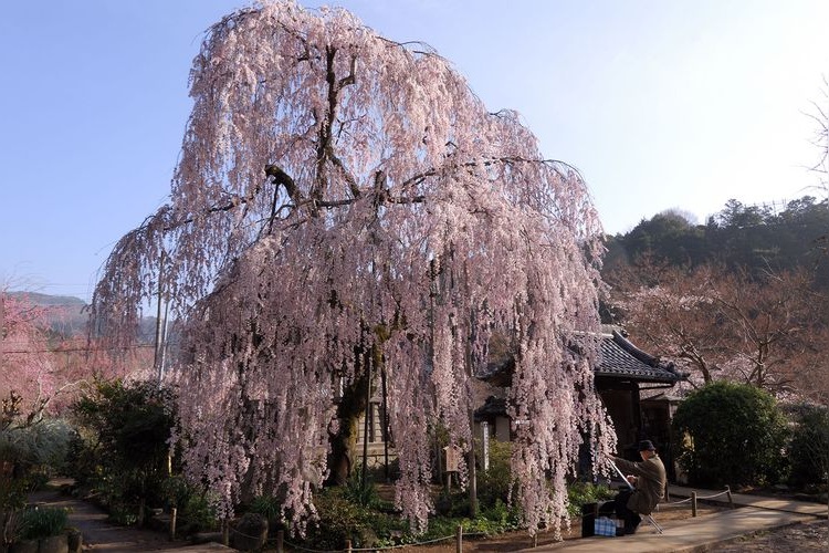 Ono-dera Temple