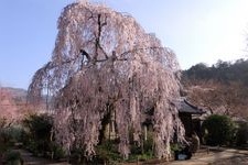 Tourist destination images of Ono-dera Temple(1)