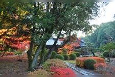 Tourist destination images of Kashihara-jingu Shrine(3)