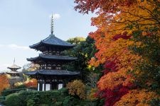 Tourist destination images of Taima-dera Temple(1)