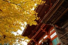 Tourist destination images of Yoshino Mizu-no-Jinja Shrine(1)