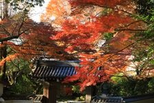 Tourist destination images of Yoshino Mizu-no-Jinja Shrine(3)