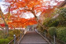 Tourist destination images of Okadera Temple(2)