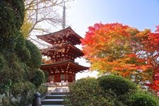 Tourist destination images of Okadera Temple(4)