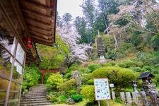 Tourist destination images of Okadera Temple(5)