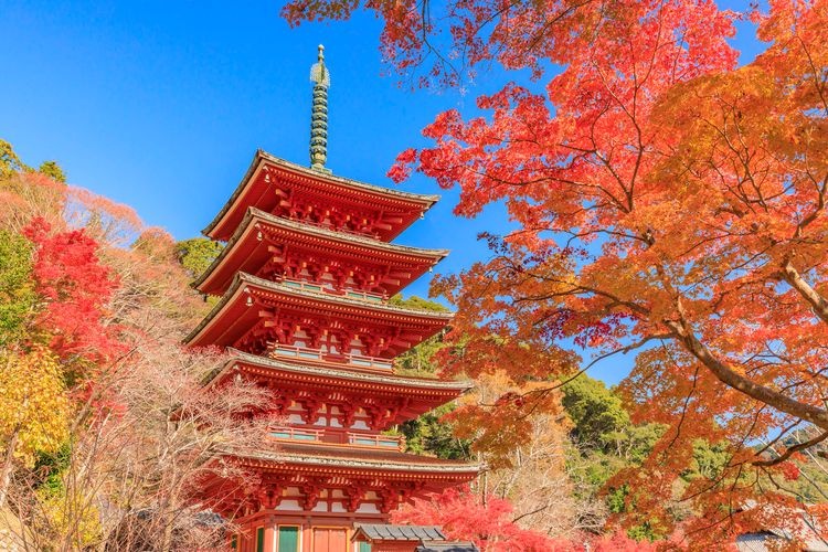 Hasedera Temple