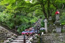 Tourist destination images of Hasedera Temple(2)