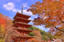 Tourist destination images of Hasedera Temple(3)