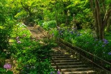 Tourist destination images of Hasedera Temple(2)