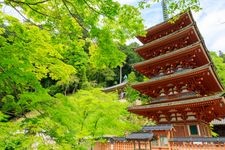 Tourist destination images of Hasedera Temple(8)