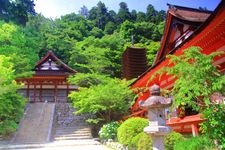 Tourist destination images of Tanzan Shrine(1)