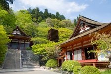 Tourist destination images of Tanzan Shrine(1)