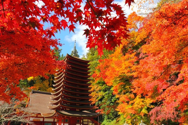 Tourist destination images of Tanzan Shrine(4)
