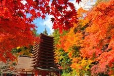 Tourist destination images of Tanzan Shrine(4)