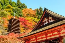 Tourist destination images of Tanzan Shrine(2)