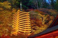 Tourist destination images of Tanzan Shrine(2)