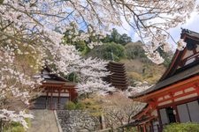 Tourist destination images of Tanzan Shrine(5)