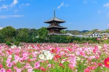 Tourist destination images of Hoki-ji Temple(3)