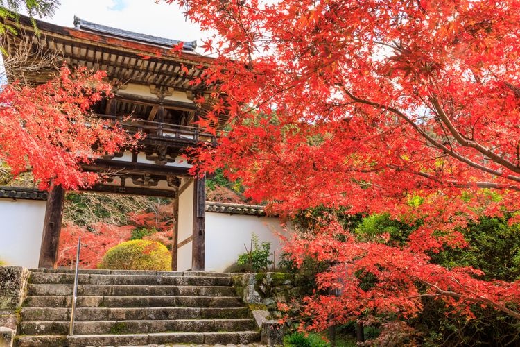 Chōgaku-ji