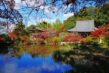 Tourist destination images of Chogaku-ji Temple(2)