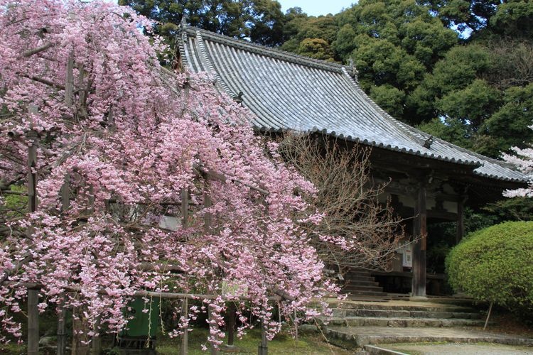 Chōgaku-ji 2