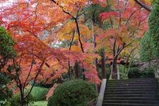 Tourist destination images of Chogaku-ji Temple(5)