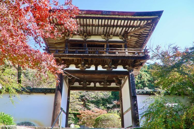 Chōgaku-ji 4