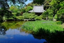 Tourist destination images of Chogaku-ji Temple(7)