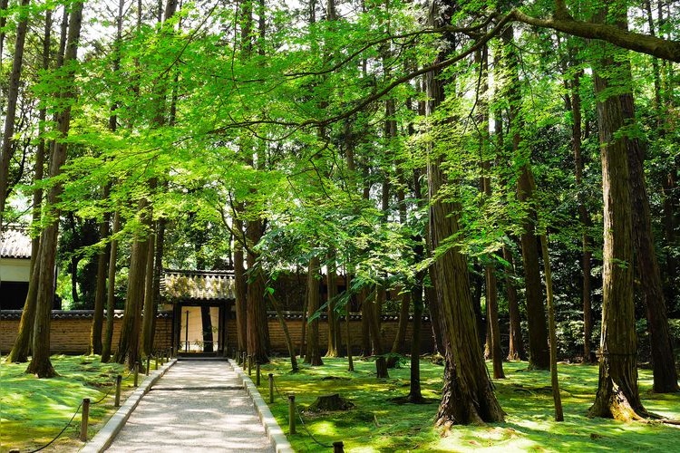 Toshodaiji Temple