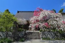 Tourist destination images of Futaiji Temple(3)