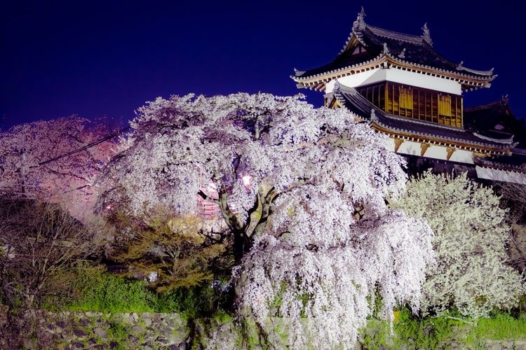 Tourist destination images of Koriyama Castle Ruins(3)