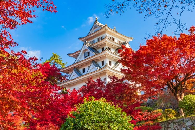 Tourist destination images of Koriyama Castle Ruins(5)