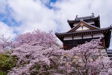 Tourist destination images of Koriyama Castle Ruins(1)
