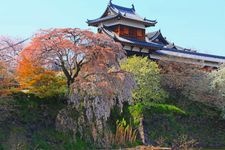 Tourist destination images of Koriyama Castle Ruins(3)