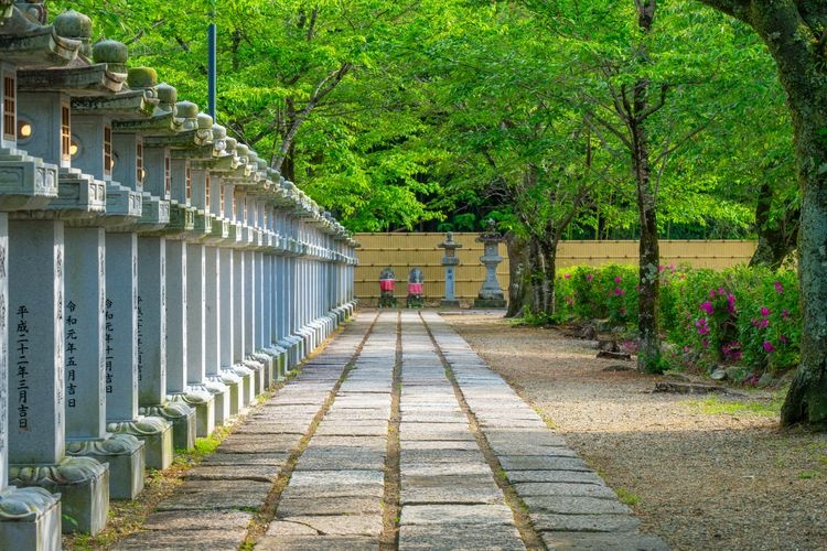 Abe Monju-in Temple 4