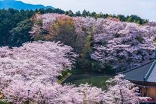 Tourist destination images of Abe Monjuin Temple(5)