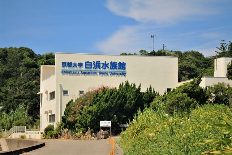 Tourist destination images of Kyoto University Shirahama Aquarium(3)
