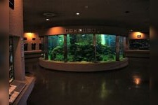 Tourist destination images of Kyoto University Shirahama Aquarium(1)