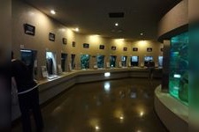 Tourist destination images of Kyoto University Shirahama Aquarium(3)