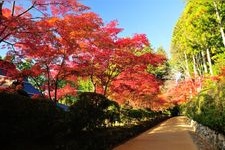 Tourist destination images of Kongōbu-ji Danjōgaran(5)