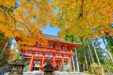 Tourist destination images of Kongōbu-ji Danjōgaran(7)