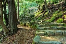 Tourist destination images of Kumanohara Shrine(4)