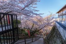 Tourist destination images of Kimii-dera Temple(2)