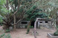 Tourist destination images of Tomogashima (友ヶ島)(3)
