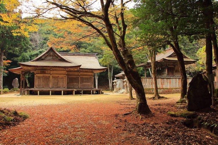 Tottori Toshogu Shrine (Ochigai Shrine) & Ochigai Park