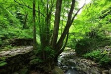 Tourist destination images of Amataki Falls(3)