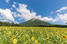 Tourist destination images of Dai-sen Makiba Milk no Sato(3)