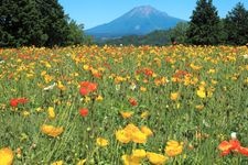 Tourist destination images of Tottori Hanakairou (Tottori Flower Park)(2)